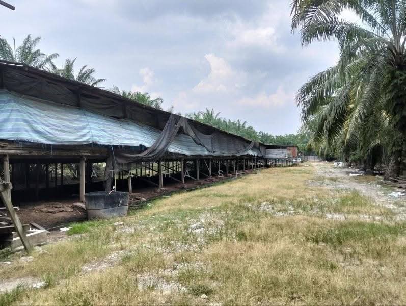 Agricultural Land for Sale in Kuala Selangor (Selangor) - Natasha Shadan - Exterior - PropertyGuru.com.my