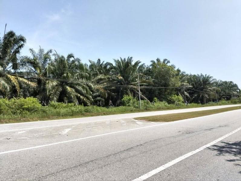 Agricultural Land for Sale in Kuala Selangor (Selangor) - Natasha Shadan - Exterior - PropertyGuru.com.my
