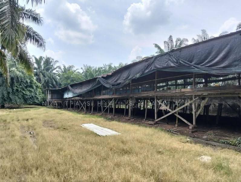 Agricultural Land for Sale in Kuala Selangor (Selangor) - Natasha Shadan - Exterior - PropertyGuru.com.my