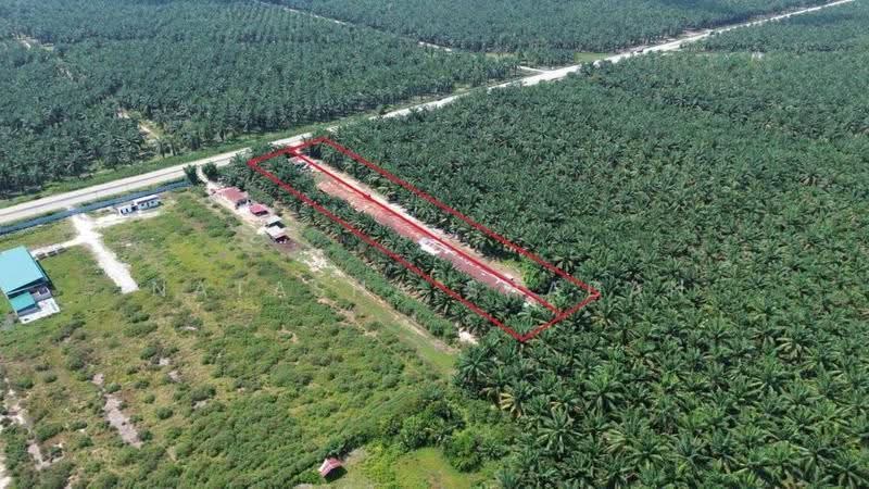 Agricultural Land for Sale in Kuala Selangor (Selangor) - Natasha Shadan - Exterior - PropertyGuru.com.my