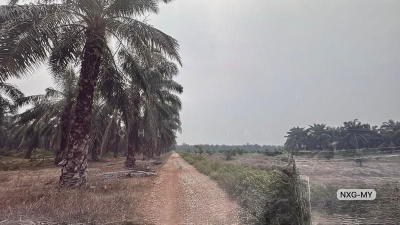 Agricultural Land for Sale in Kuala Selangor (Selangor) - Chloe Tan - PropertyGuru.com.my
