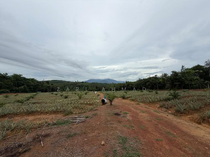Agricultural Land for Sale in Baling (Kedah) - Zarl Ahmad - Exterior - PropertyGuru.com.my