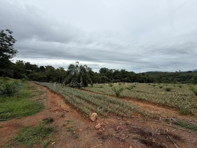 Agricultural Land for Sale in Baling (Kedah) - Zarl Ahmad - Exterior - PropertyGuru.com.my
