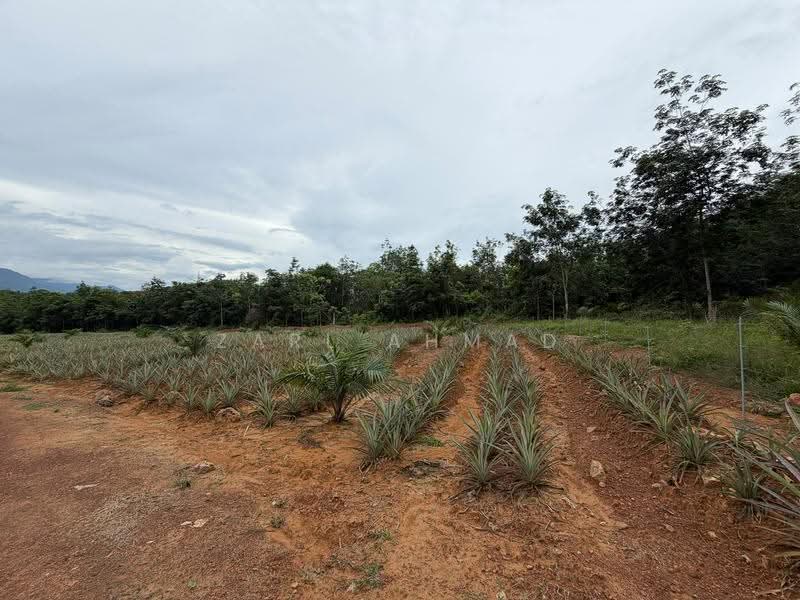 Agricultural Land for Sale in Baling (Kedah) - Zarl Ahmad - Exterior - PropertyGuru.com.my