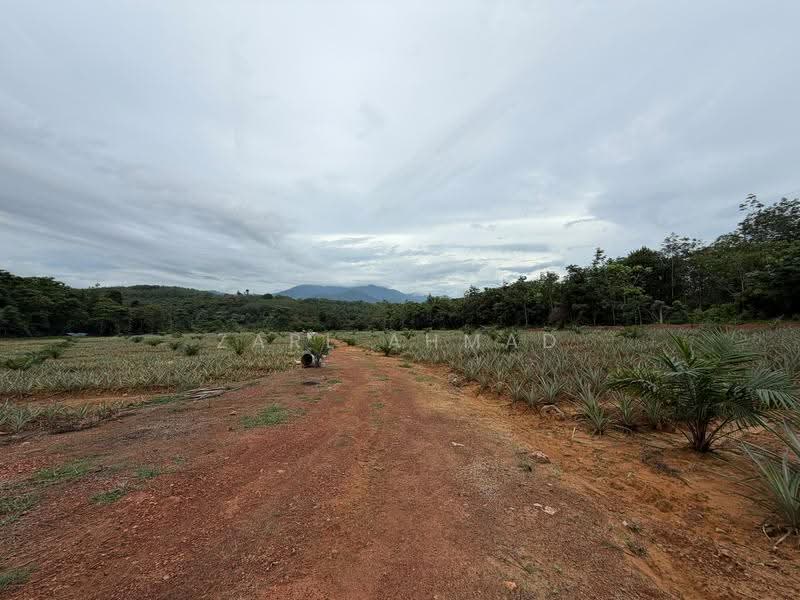 Agricultural Land for Sale in Baling (Kedah) - Zarl Ahmad - Exterior - PropertyGuru.com.my