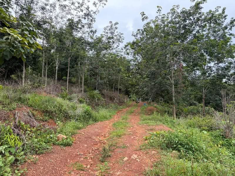 Agricultural Land for Sale in Baling (Kedah) - Zarl Ahmad - Exterior - PropertyGuru.com.my