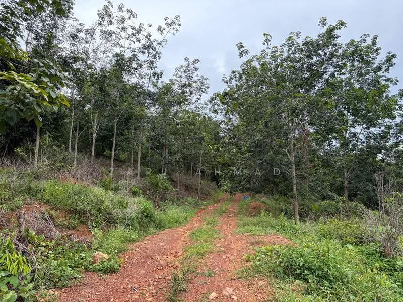 Agricultural Land for Sale in Baling (Kedah) - Zarl Ahmad - Exterior - PropertyGuru.com.my