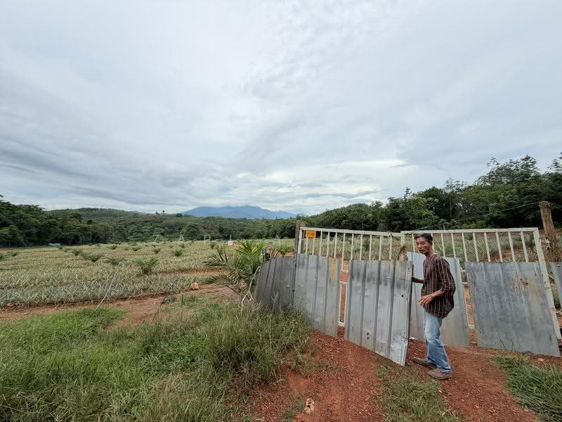Agricultural Land for Sale in Baling (Kedah) - Zarl Ahmad - Exterior - PropertyGuru.com.my