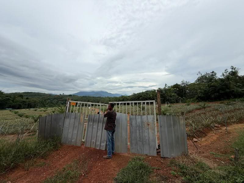 Agricultural Land for Sale in Baling (Kedah) - Zarl Ahmad - Exterior - PropertyGuru.com.my