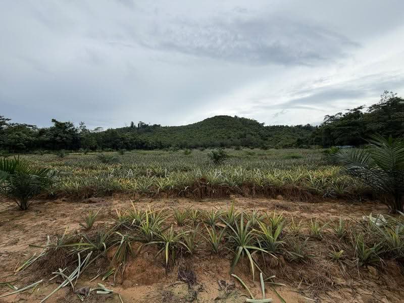 Agricultural Land for Sale in Baling (Kedah) - Zarl Ahmad - Exterior - PropertyGuru.com.my