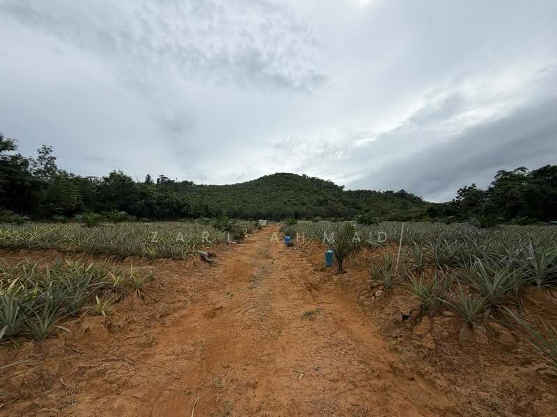Agricultural Land for Sale in Baling (Kedah) - Zarl Ahmad - Exterior - PropertyGuru.com.my