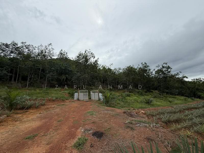 Agricultural Land for Sale in Baling (Kedah) - Zarl Ahmad - Exterior - PropertyGuru.com.my