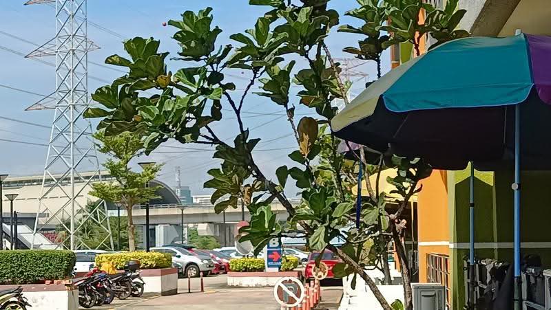 Shop / Office for Sale in Kelana Jaya (Petaling Jaya) - Yeoh Liew Lee - Exterior - PropertyGuru.com.my