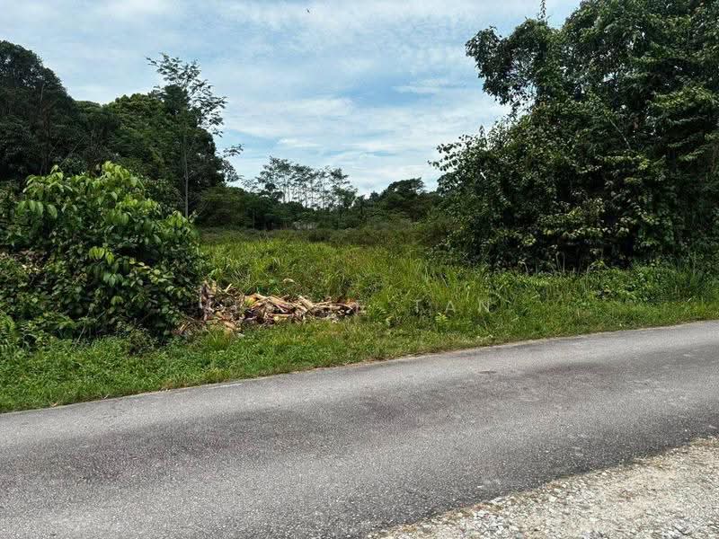 Tanah Pertanian untuk Dijual di Gelang Patah (Johor) - Jessie Tan - Exterior - PropertyGuru.com.my