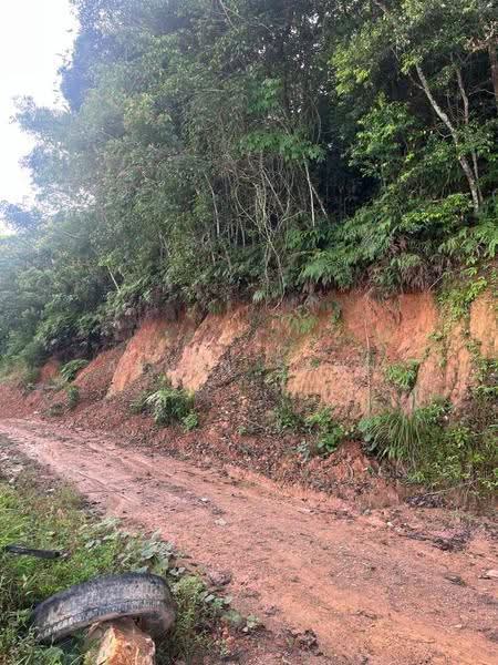 Tanah Pertanian untuk Dijual di Slim River (Perak) - Alvin Seah - Exterior - PropertyGuru.com.my