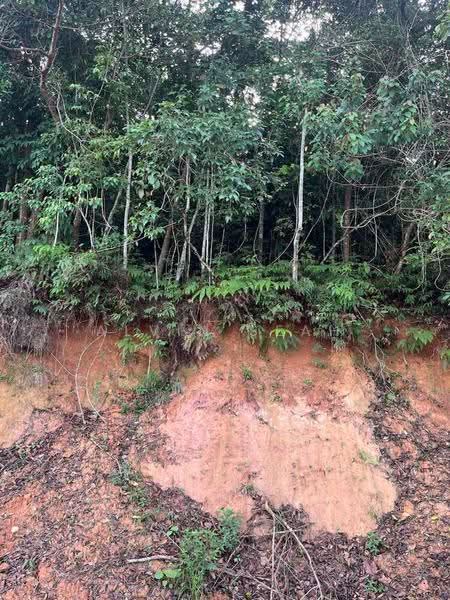 Tanah Pertanian untuk Dijual di Slim River (Perak) - Alvin Seah - Exterior - PropertyGuru.com.my