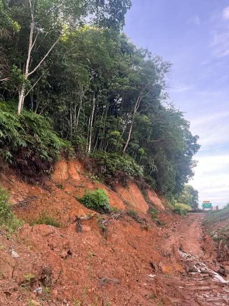 Tanah Pertanian untuk Dijual di Slim River (Perak) - Alvin Seah - Exterior - PropertyGuru.com.my