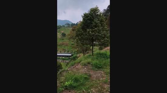 Agricultural Land for Sale in Teluk Bahang (Penang) - CH Yeoh - PropertyGuru.com.my