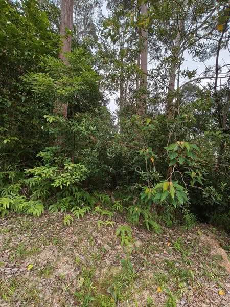 Agricultural Land for Sale in Teluk Bahang (Penang) - CH Yeoh - Exterior - PropertyGuru.com.my
