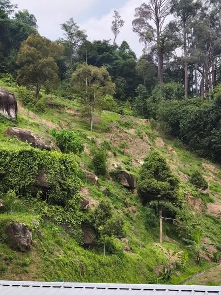 Agricultural Land for Sale in Teluk Bahang (Penang) - CH Yeoh - Exterior - PropertyGuru.com.my