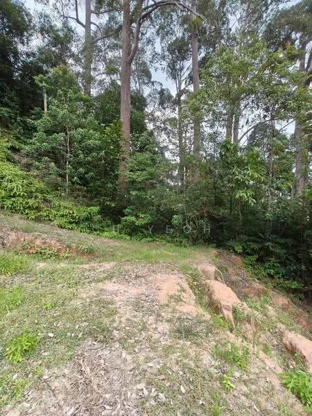 Agricultural Land for Sale in Teluk Bahang (Penang) - CH Yeoh - Exterior - PropertyGuru.com.my