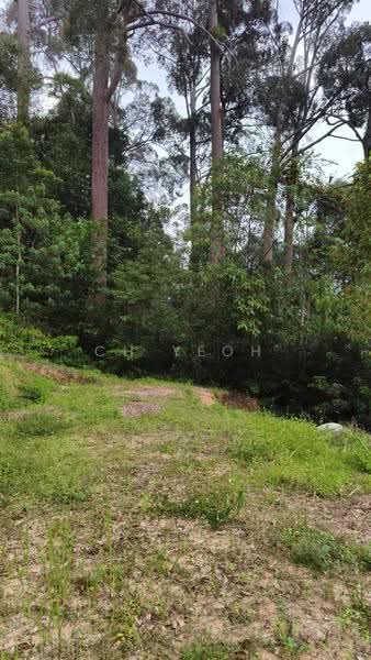 Agricultural Land for Sale in Teluk Bahang (Penang) - CH Yeoh - Exterior - PropertyGuru.com.my