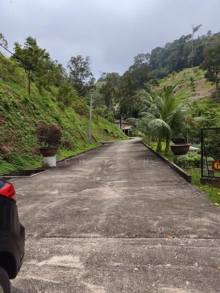 Agricultural Land for Sale in Teluk Bahang (Penang) - CH Yeoh - Exterior - PropertyGuru.com.my
