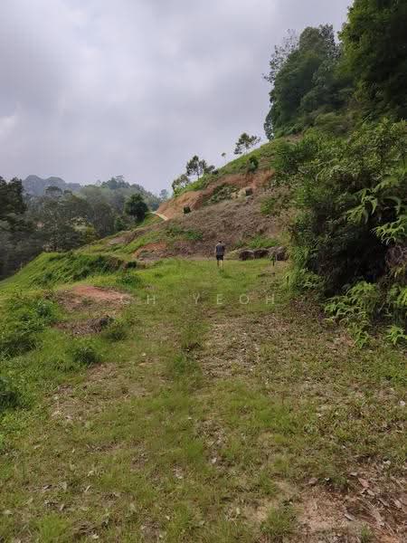 Agricultural Land for Sale in Teluk Bahang (Penang) - CH Yeoh - Exterior - PropertyGuru.com.my
