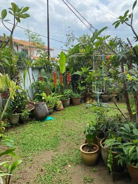 Semi-Detached House for Sale in SS2 (Petaling Jaya) - Cindy Kee - Garden - PropertyGuru.com.my