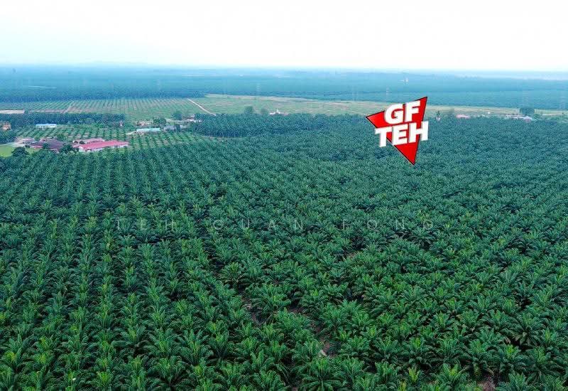 Tanah Komersial untuk Dijual di Kuala Ketil (Kedah) - Teh Guan Fong - PropertyGuru.com.my