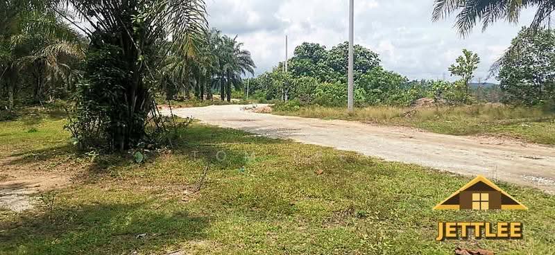 Agricultural Land for Sale in Batang Berjuntai (Selangor) - Tom Lee - PropertyGuru.com.my