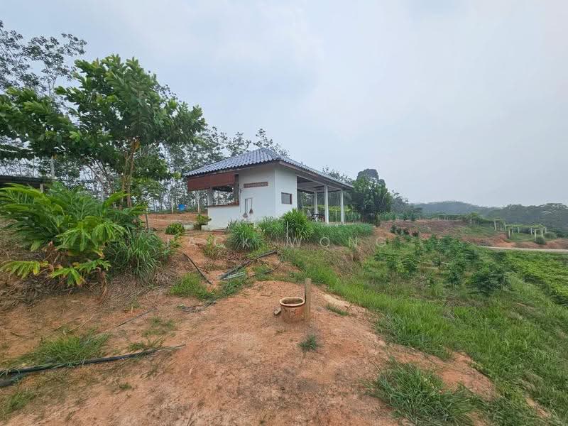 Agricultural Land for Sale in Kuala Pilah (Negeri Sembilan) - Jack Wong - Exterior - PropertyGuru.com.my