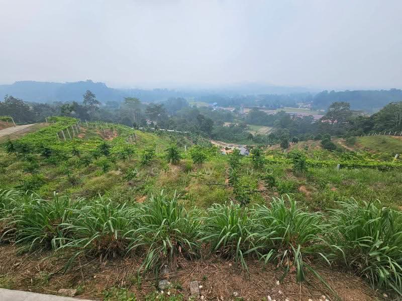 Agricultural Land for Sale in Kuala Pilah (Negeri Sembilan) - Jack Wong - Exterior - PropertyGuru.com.my