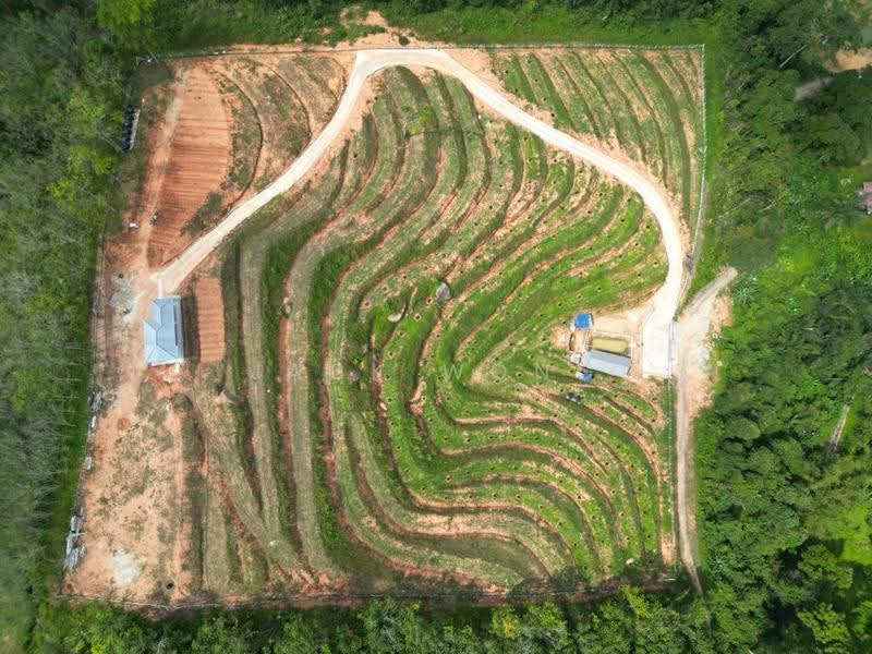 Agricultural Land for Sale in Kuala Pilah (Negeri Sembilan) - Jack Wong - Exterior - PropertyGuru.com.my