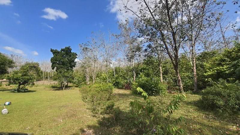 Agricultural Land for Sale in Rantau (Negeri Sembilan) - Bryan Wong - Exterior - PropertyGuru.com.my