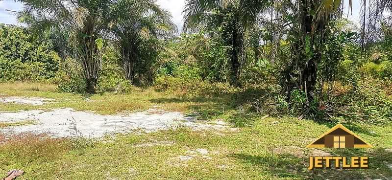 Agricultural Land for Sale in Kuala Selangor (Selangor) - Chloe Tan - PropertyGuru.com.my