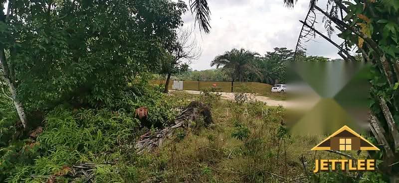 Agricultural Land for Sale in Kuala Selangor (Selangor) - Chloe Tan - PropertyGuru.com.my
