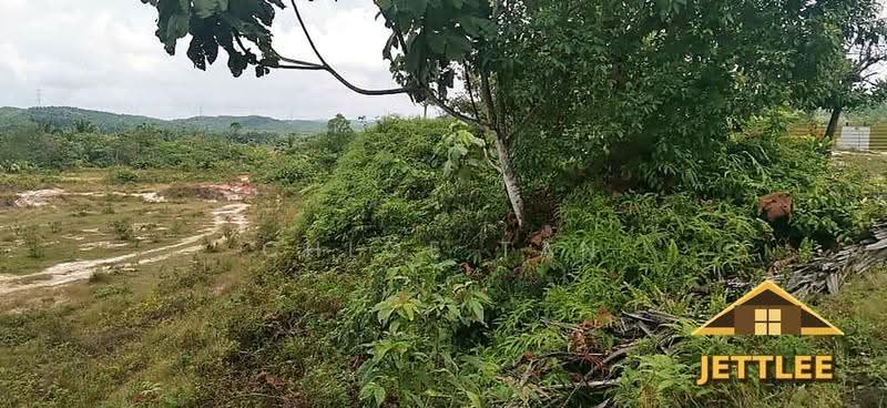 Agricultural Land for Sale in Kuala Selangor (Selangor) - Chloe Tan - PropertyGuru.com.my