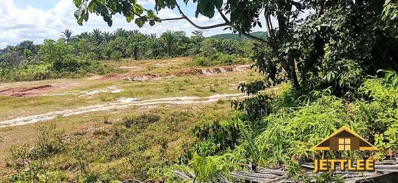 Agricultural Land for Sale in Kuala Selangor (Selangor) - Chloe Tan - PropertyGuru.com.my