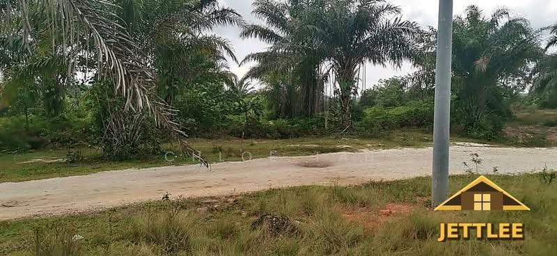 Agricultural Land for Sale in Kuala Selangor (Selangor) - Chloe Tan - PropertyGuru.com.my
