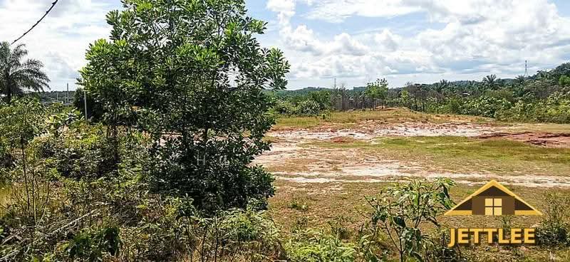 Agricultural Land for Sale in Kuala Selangor (Selangor) - Chloe Tan - PropertyGuru.com.my