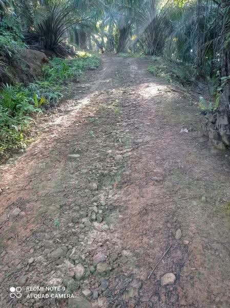 Agricultural Land for Sale in Slim River (Perak) - Mahenthiran . - Exterior - PropertyGuru.com.my