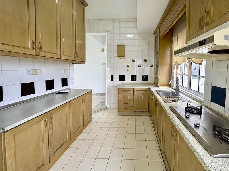 Condominium for Rent at Bukit Robson Condominium - Emica Chong - Kitchen - PropertyGuru.com.my