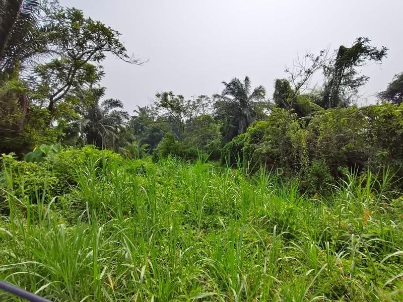 Agricultural Land for Sale in Kampung Pulau Meranti (Puchong) - Liza Khalid - PropertyGuru.com.my