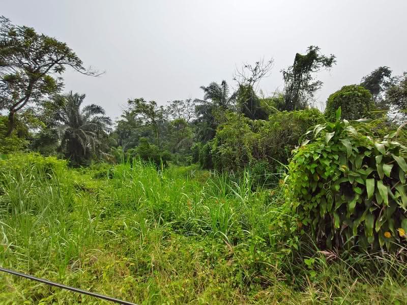 Agricultural Land for Sale in Kampung Pulau Meranti (Puchong) - Liza Khalid - PropertyGuru.com.my