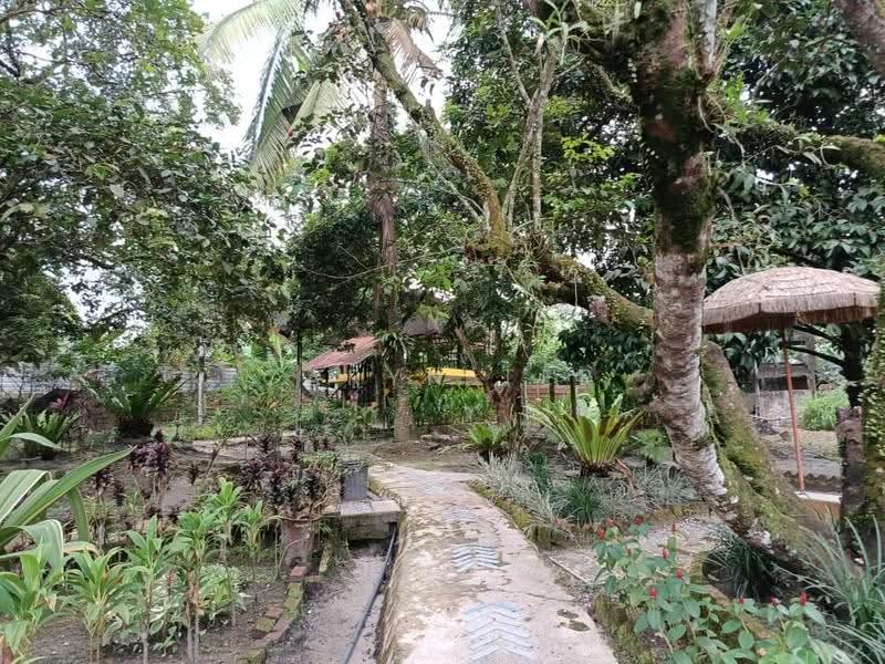Commercial Land for Sale in Kulai (Johor) - Caryn Ter - Garden - PropertyGuru.com.my