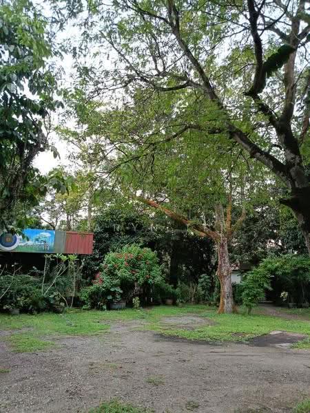 Commercial Land for Sale in Kulai (Johor) - Caryn Ter - Exterior - PropertyGuru.com.my