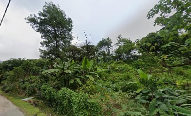 Tanah Kediaman untuk Dijual di Kampung Sungai Penchala (Sungai Penchala) - A Chong - Garden - PropertyGuru.com.my
