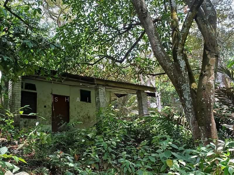 Tanah Pertanian untuk Dijual di Kampung Sungai Serai (Rawang) - Shaiful Rudy - Exterior - PropertyGuru.com.my