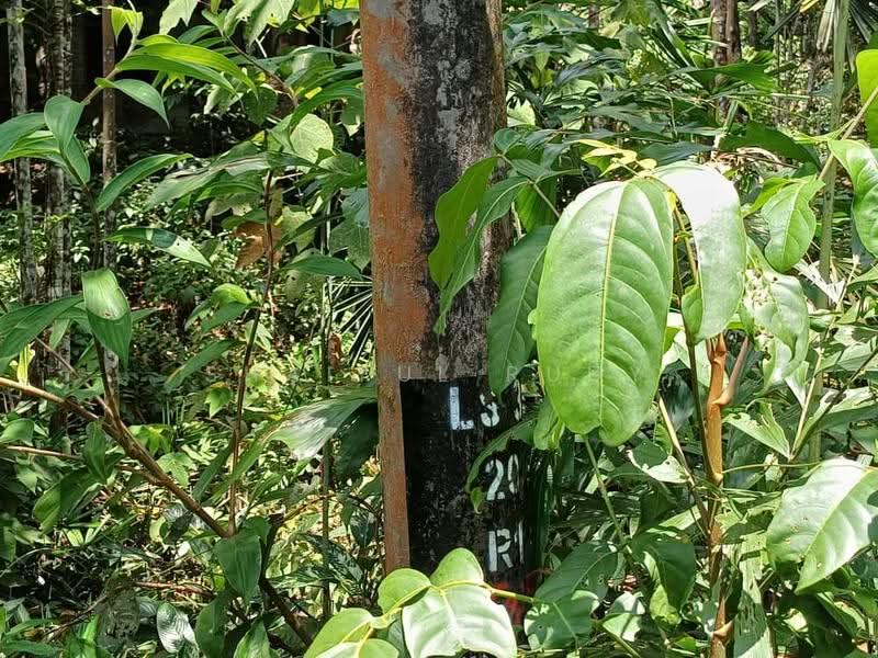 Tanah Pertanian untuk Dijual di Kampung Sungai Serai (Rawang) - Shaiful Rudy - PropertyGuru.com.my